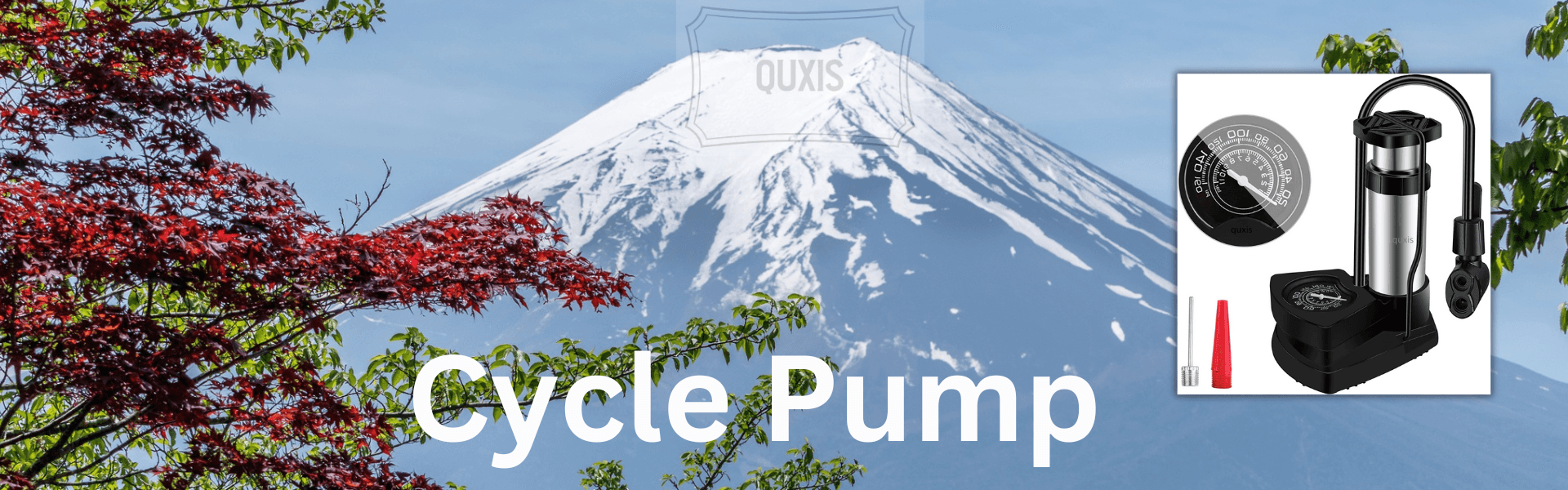 Cycle Pump